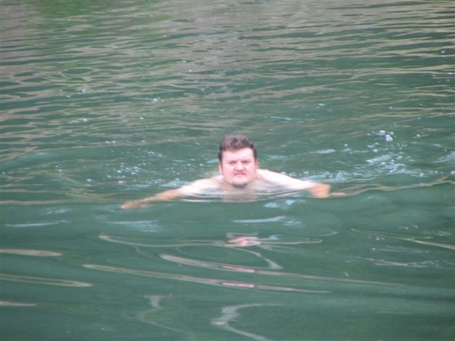 ���2008 1 081