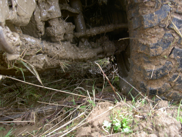 ������� ���� 2006 031
