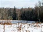 Image00368