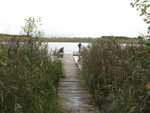 IMG 4556