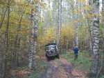 IMG 4568