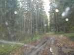 IMG 4572