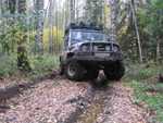 IMG 4579
