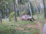 IMG 4583
