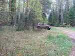 IMG 4585