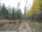 IMG 4589