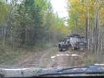 IMG 4590