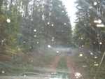 IMG 4594