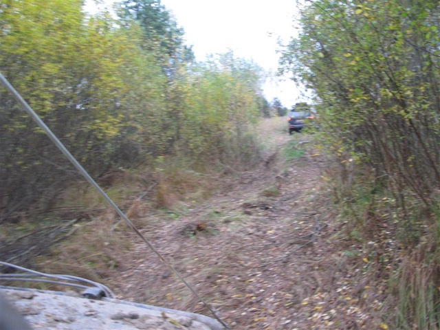 IMG 4598