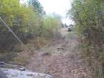 IMG 4598
