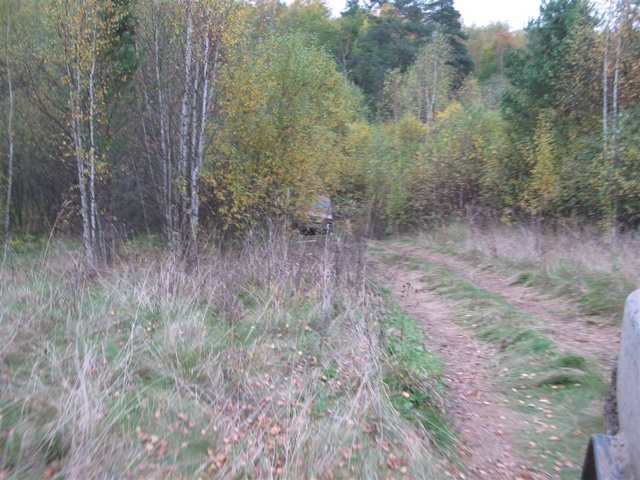 IMG 4600
