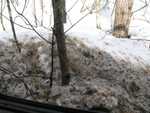 IMG 4991