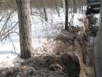 IMG 4993