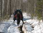 IMG 4999