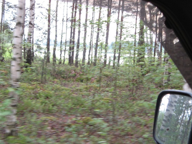 IMG 0068