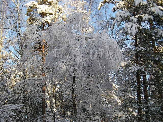 PC101359