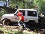 IMG 0175