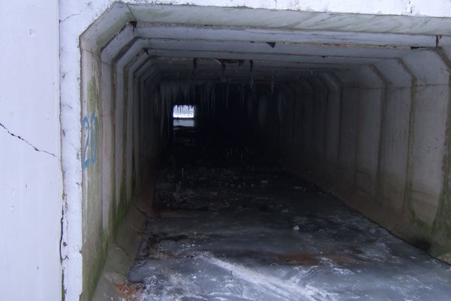 DSCF2246.JPG