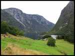 Naroyfjord - ����� ����� ����� ��������. ������ � ��������� ������ �� ��������� 250�.