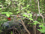 IMG 0808