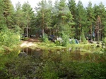 P8113831