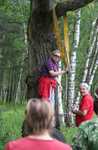 IMG 4118