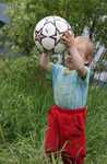 IMG 4486