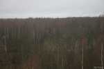 img 4073