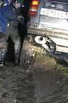 img 4331