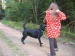 IMG 6685